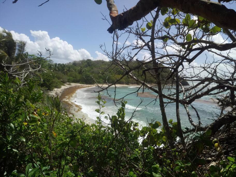 Vue Mer, Piscine, Appartement 4 Personnes Le Gosier  Luaran gambar