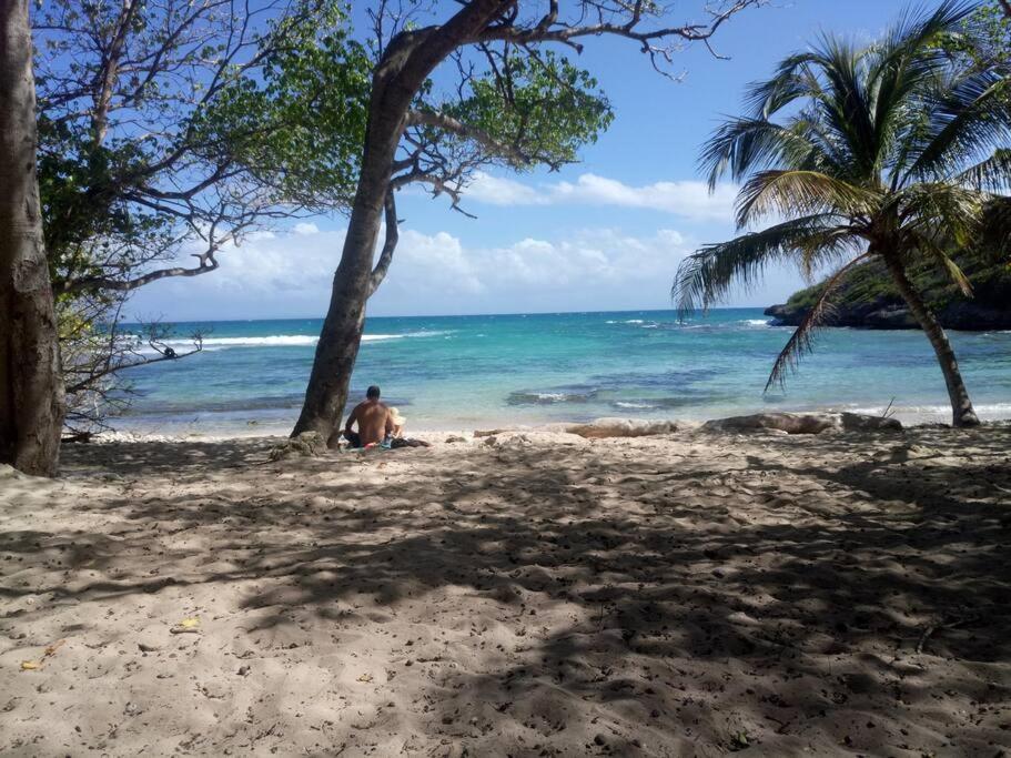 Vue Mer, Piscine, Appartement 4 Personnes Le Gosier  Luaran gambar